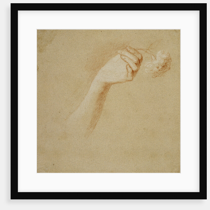 A Lady's Left Hand, Holding a Rose. Study for the Painting 'The Artist's Wife: Margaret Lindsay of Evelick' by Allan Ramsay